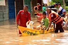 รวมบัญชีช่วยผู้ประสบภัยน้ำท่วม 54 