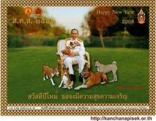 ส.ค.ส.ปีใหม่จากในหลวง พ.ศ.2551 Cards from the King 08