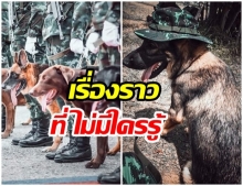 บั้นปลายชีวิต สุนัขทหารไทย ปลดเกษียณอายุ เเล้วไปอยู่ที่ไหนต่อ 