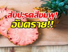  เตือน!อย่าซื้อ-ขายสับปะรดสีชมพู! ผิดกฏหมาย ทำลายสุขภาพ