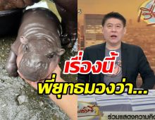  สรยุทธออกโรงป้อง น้องหมูเด้ง โดนต่างชาติดราม่าใส่