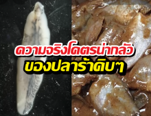 เฉลยสาเหตุ คนอีสานกินปลาร้าดิบ ทำไมไม่เห็นเป็นอะไร