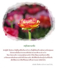 ...อยู่กับความจริง...