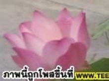 ลูกต้องการอะไร