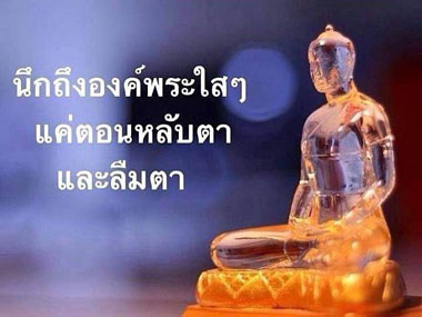 นั่งธรรมะเหมือนปลูกต้นไม้