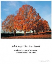 พุทธศาสนสุภาษิต...คนผลัดวันประกันพรุ่ง