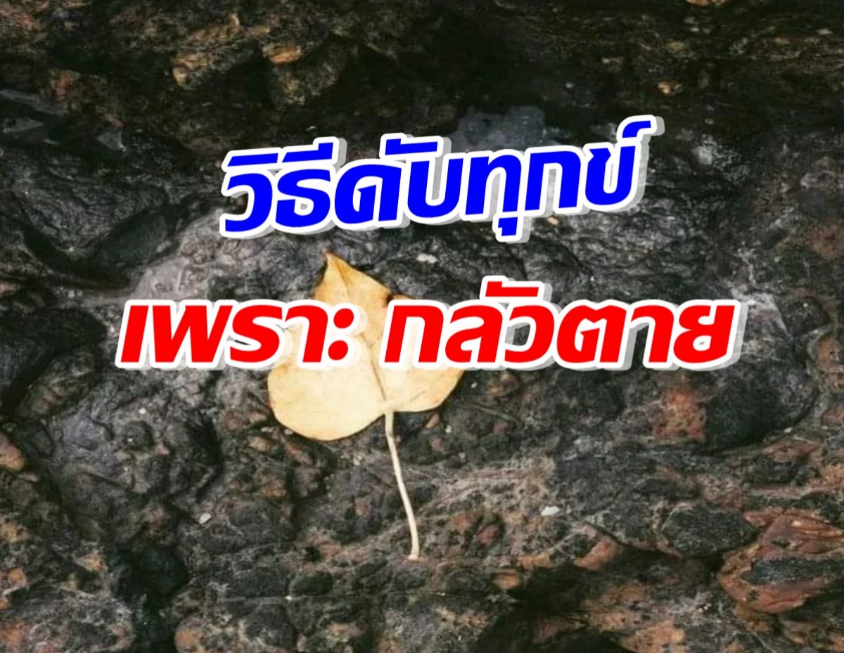 วิธีดับทุกข์ เพราะ กลัวตาย