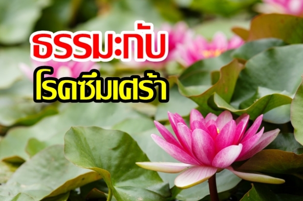 ธรรมะกับโรคซึมเศร้า (คลิป)