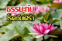 ธรรมะกับโรคซึมเศร้า (คลิป)