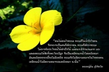 ฉุกคิด... เพื่อชีวิตเปี่ยมสุข