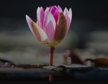 หากไม่ใช่เนื้อคู่ ถึงเวลาก็ต้องแยก