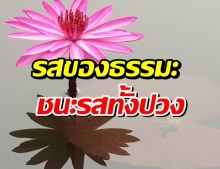 รสของธรรมะชนะรสทั้งปวง