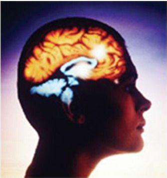 ฮอร์โมนเลปตินในสมองมีส่วนสัมพันธ์กับโรคอัลไซเมอร์ 