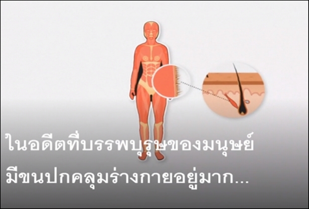 6 อวัยวะที่ไม่จำเป็นสำหรับมนุษย์อีกต่อไป