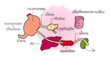 รู้ได้ไงว่าเราเป็น เบาหวาน!!! 