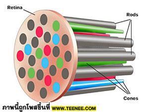 โรคตาบอดสี