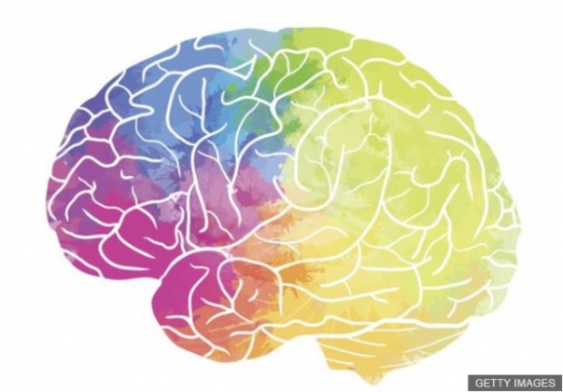 นักวิทยาศาสตร์พบแบบแผนการทำงานของ “สมองสร้างสรรค์”