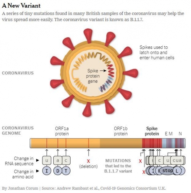เปิดข้อเท็จจริง โควิดสายพันธุ์ใหม่ จากประเทศอังกฤษ