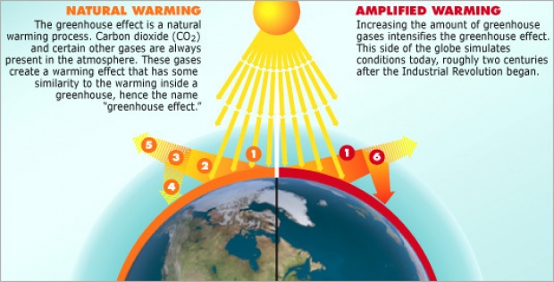 ภาพจาก Global Warming Exhibition of National Academy of Science (US)