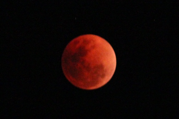 ประมวลภาพคืนพระจันทร์สีเลือดสุกสกาว!ลอยเด่นกลางฟากฟ้า