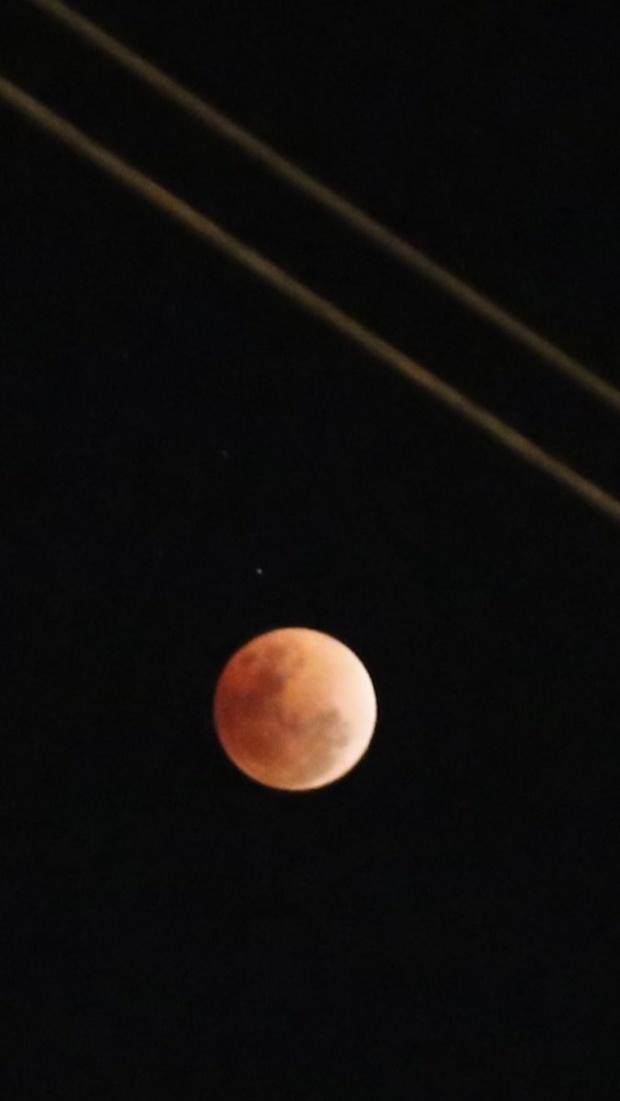 ประมวลภาพคืนพระจันทร์สีเลือดสุกสกาว!ลอยเด่นกลางฟากฟ้า