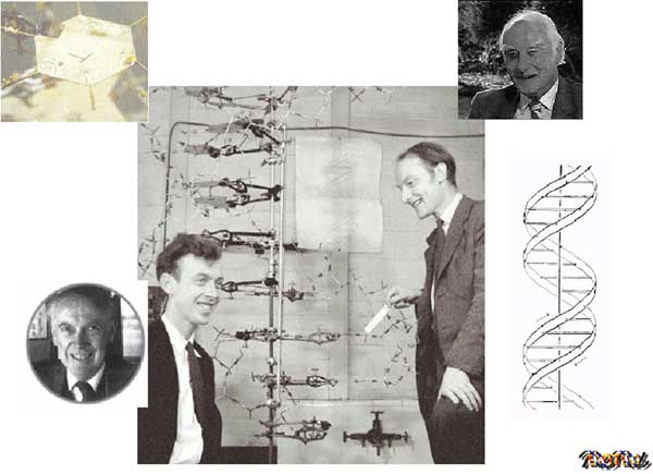 เจมส์ วัตสัน-ฟรานซิส คริก 2นักวิทยาศาสตร์ผู้ค้นพบโครงสร้างDNa