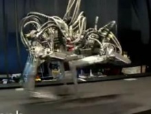 สุดยอดหุ่นยนต์ชีต้าห์ ที่วิ่งเร็วกว่า ยูเซน โบลต์ 