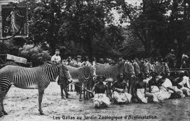 อดีตสุดอัปยศ! เมื่อครั้งหนึ่งโลกเคยมีสวนสัตว์สำหรับจัดแสดง ‘คนผิวสี’