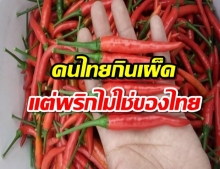 คนไทยกินเผ็ด แต่ “พริก” ไม่ใช่ของไทย แล้วเรามีพริกกินแต่เมื่อไร?