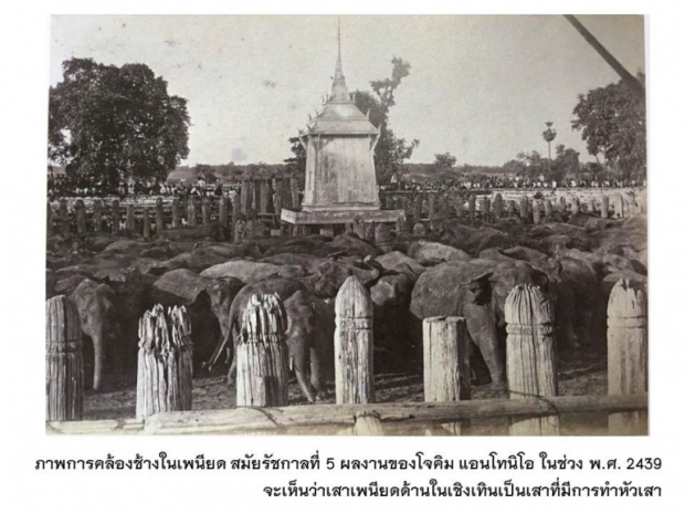 ภาพในอดีต เสาตะลุง เพนียดคล้องช้าง