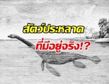 เรื่องจริงของ “เนสซี” สัตว์ประหลาดแห่งล็อกเนสส์ กับการตบตาครั้งใหญ่ของโลก